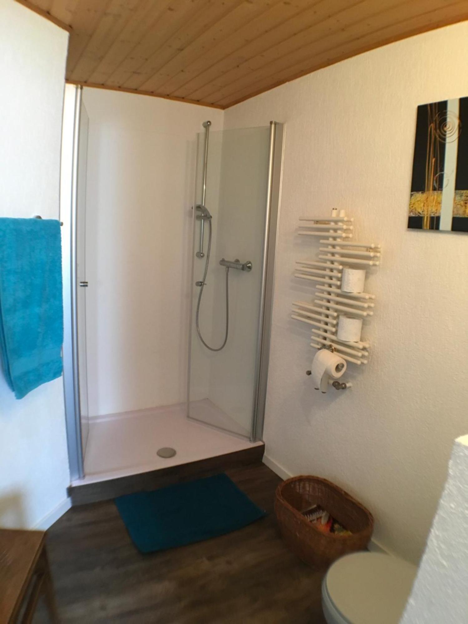 Apartment Alte B3 Ringsheim